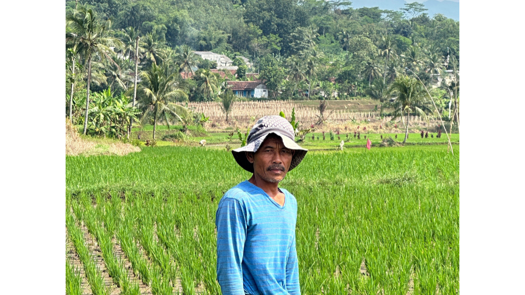 picture-Dari Sawah ke Suapan Gizi: Suara Petani untuk Negeri
